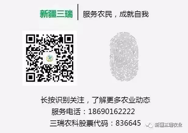 致富葫芦种植方法_葫芦种植挣钱吗_致富葫芦种植方法图片