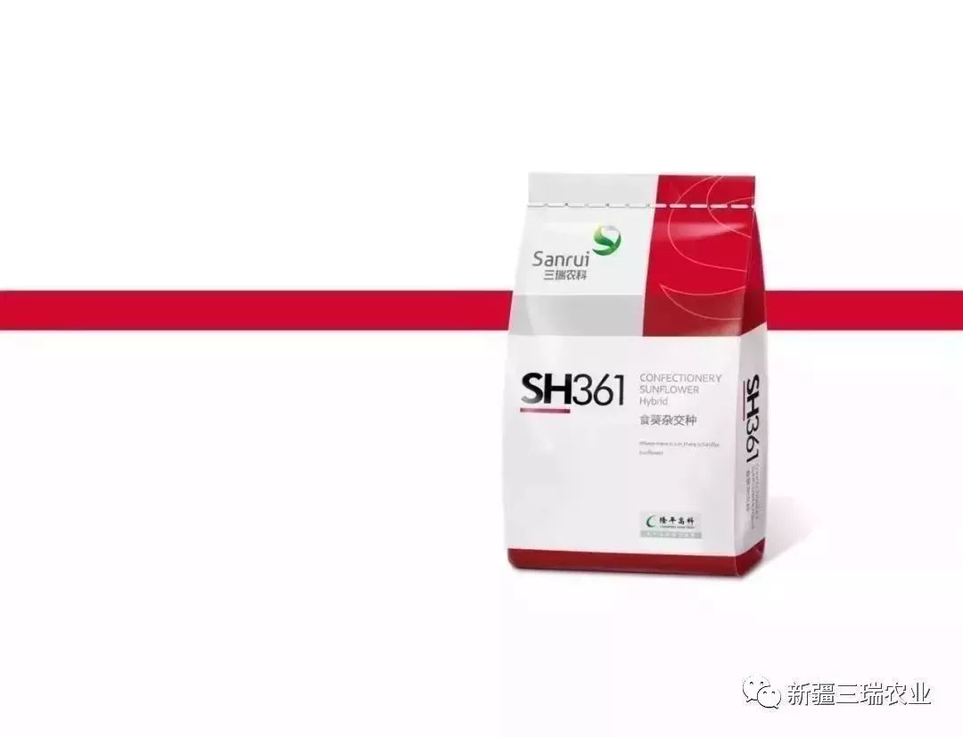 致富葫芦种植方法_葫芦种植挣钱吗_致富葫芦种植方法图片