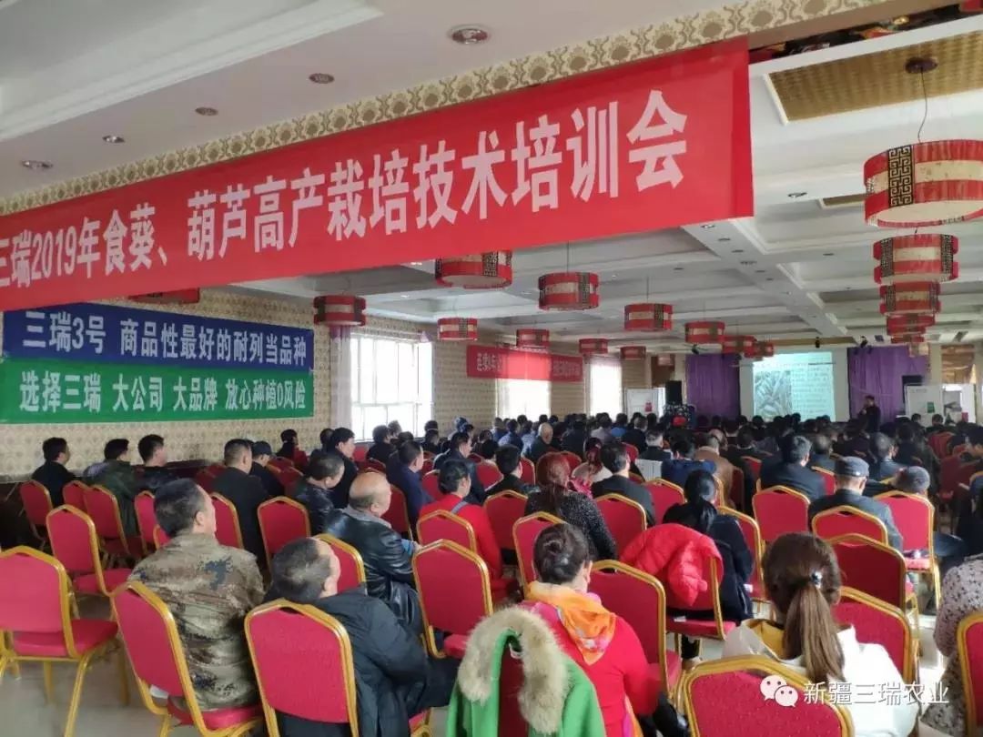 致富葫芦种植方法_致富葫芦种植方法图片_葫芦种植挣钱吗