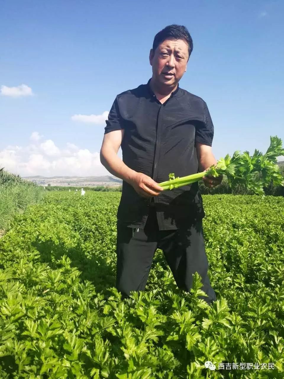 西吉新型职业农民风采--葫芦河川道的农民致富领头雁代国喜