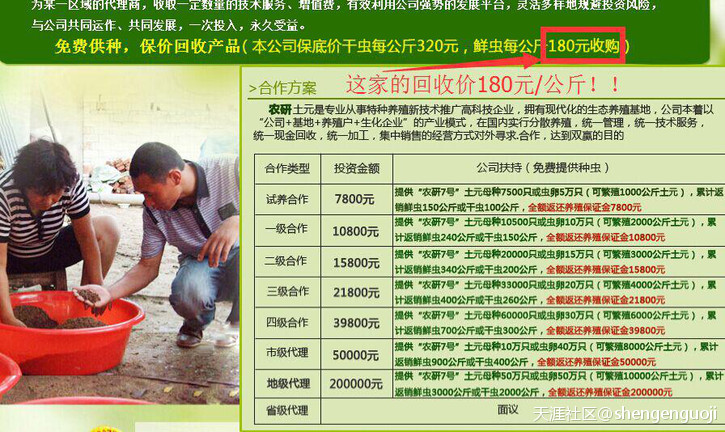 土元养殖骗局
