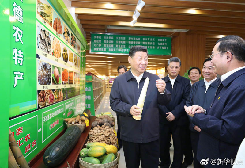 双滘镇：三个“一万”麻竹笋产业发展路径思考