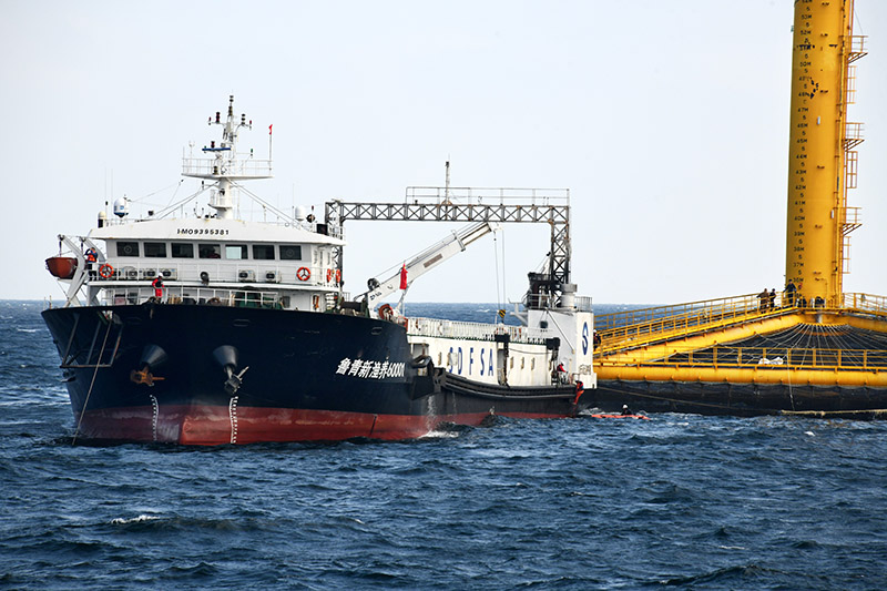 河豚养殖技术视频_海河豚养殖技术_河豚养殖