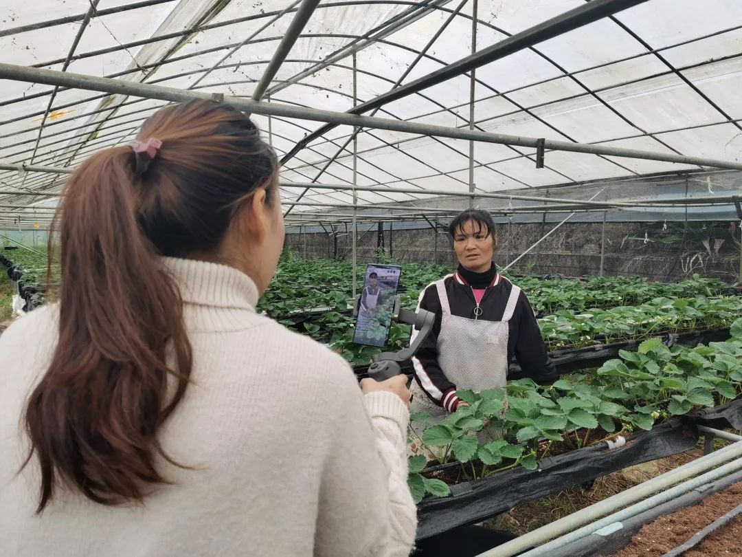 农村种植致富好项目_聋哑夫妇种植致富_发展雷竹种植是致富的好门道