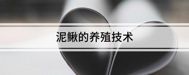 泥鳅的养殖技术