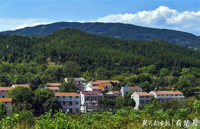 中华土元_致富经 土元_土元养殖视频
