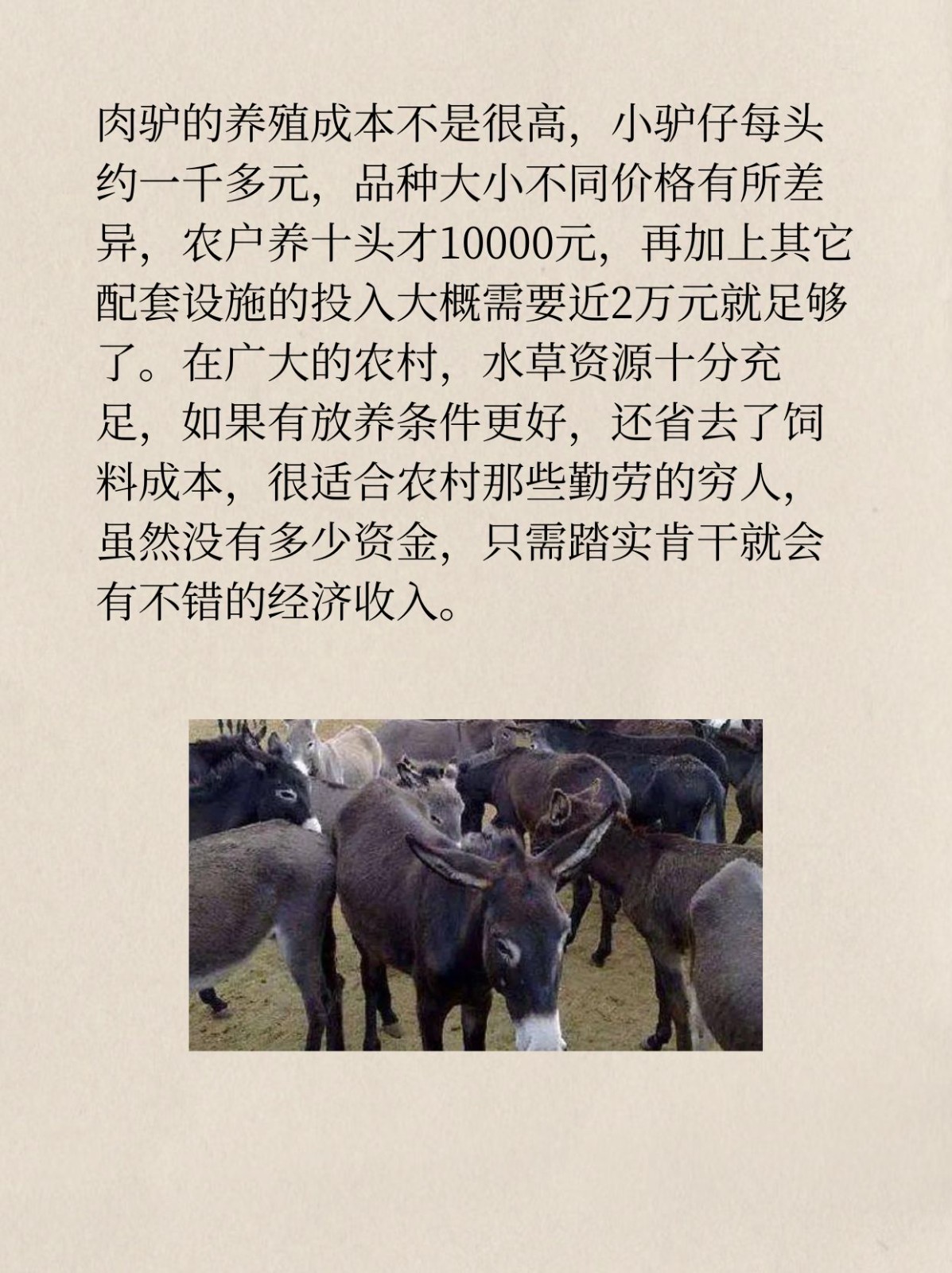 致富经养免视频_视频致富经_短视频致富