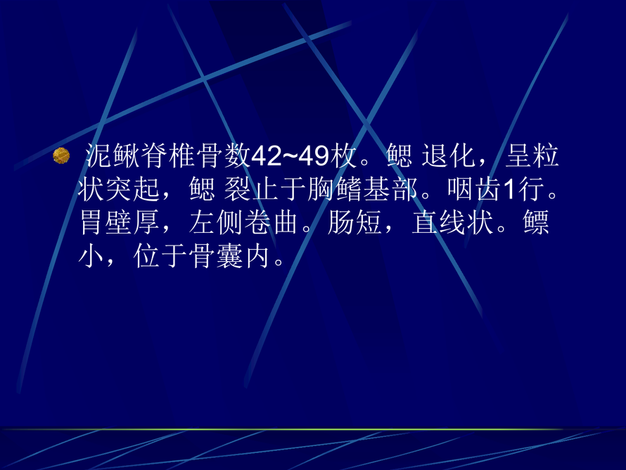 第一章泥鳅的养殖技术4