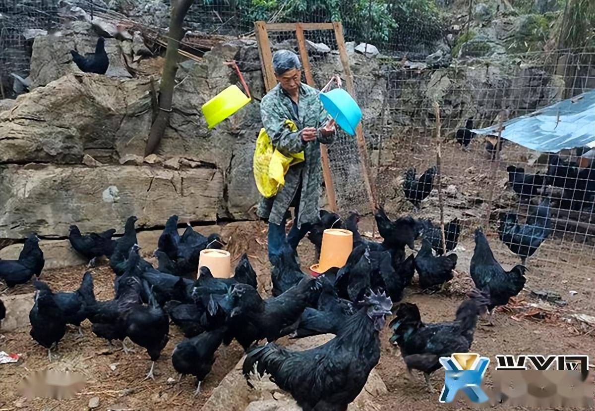 农民养殖致富好项目_鼓励农民养殖致富_致富养殖农民鼓励政策