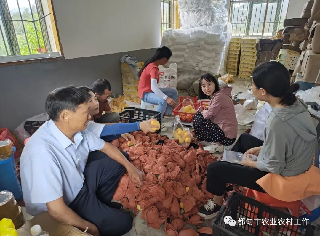 致富种植黄金方法有哪些_黄金种植致富方法_致富种植黄金方法视频