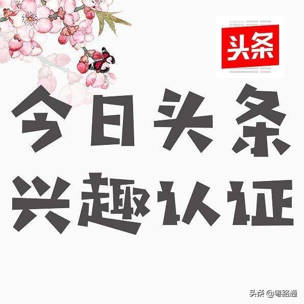 优质加v认证经验_优质加v认证经验_优质加v认证经验