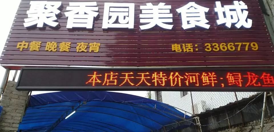 人工养殖竹虫技术视频_竹虫养殖技术视频_竹虫养殖技术视频实拍