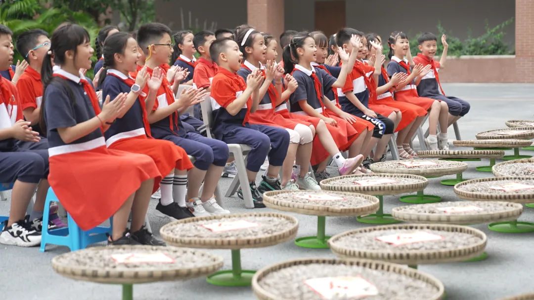 楼顶种西瓜需要多高的泥土_楼顶种植西瓜技术视频_楼顶种西瓜要搭架子吗