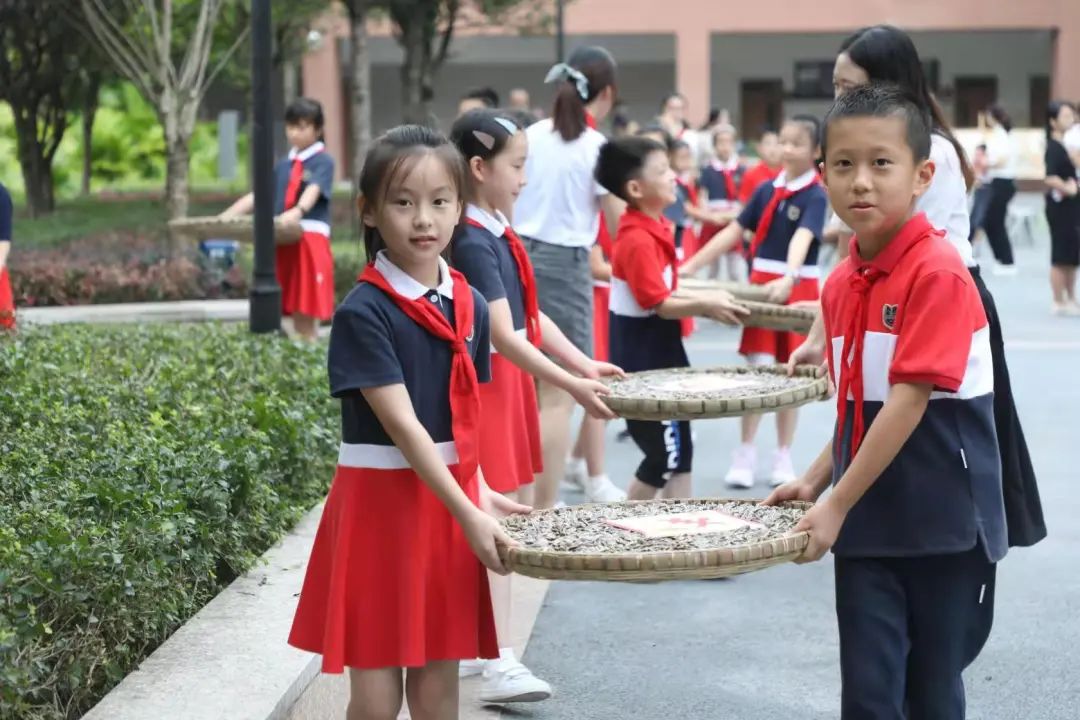 楼顶种西瓜需要多高的泥土_楼顶种植西瓜技术视频_楼顶种西瓜要搭架子吗