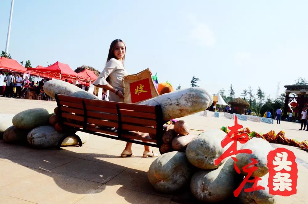 楼顶种西瓜要搭架子吗_楼顶种植西瓜技术视频_西瓜种楼顶会不会被烫死