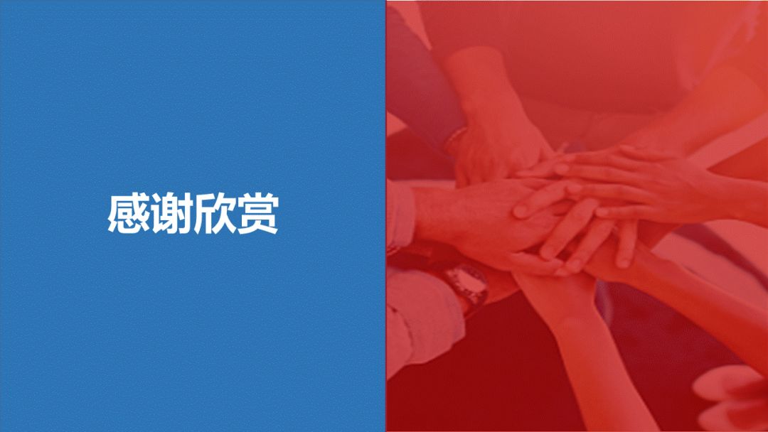 楼顶种植西瓜技术视频_楼顶种西瓜要搭架子吗_西瓜种楼顶会不会被烫死