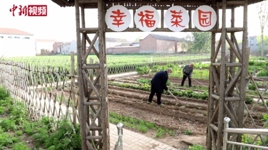 河北肥乡“互助幸福院”：农村独居老人养老新尝试