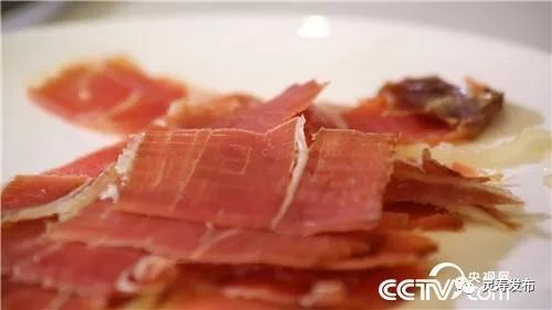 致富经特种野猪_致富经那些野味大全_致富经野鸡