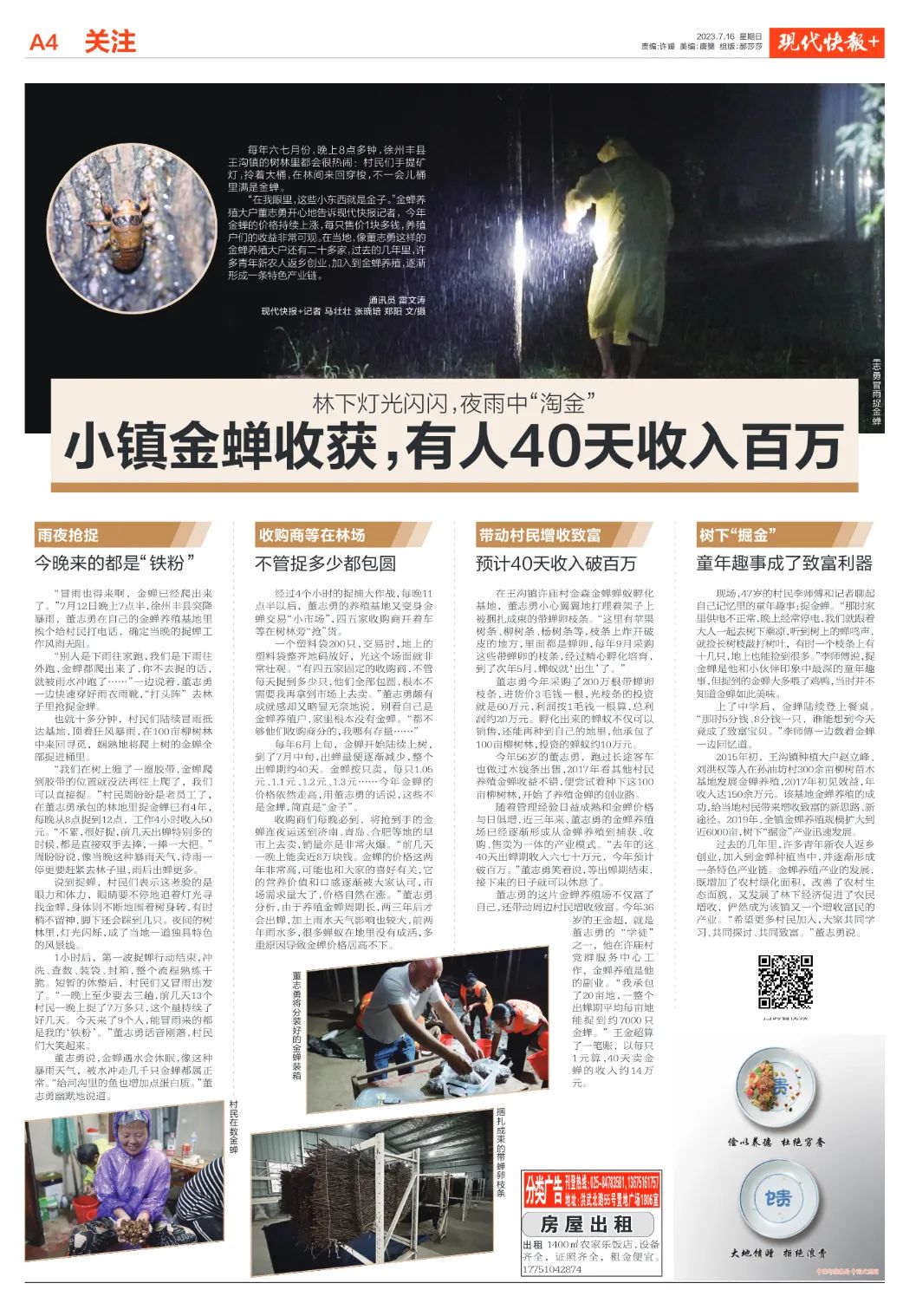 养殖金蝉技术_养殖金蝉前景如何_养殖金蝉快速致富