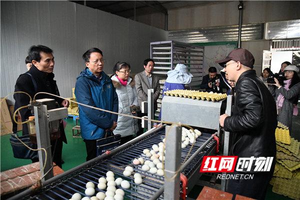 娄底10名网络正能量人士走进乡村 见证扶贫的力量