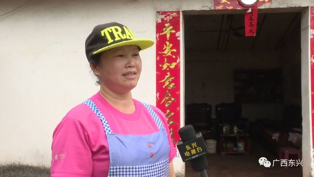 广西养猪致富经_广西养猪大户_广西农村养殖致富门路
