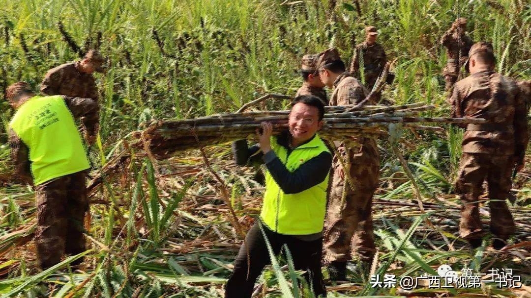 莲藕养殖技术视频全集_莲藕的养殖_养殖莲藕需要什么技术