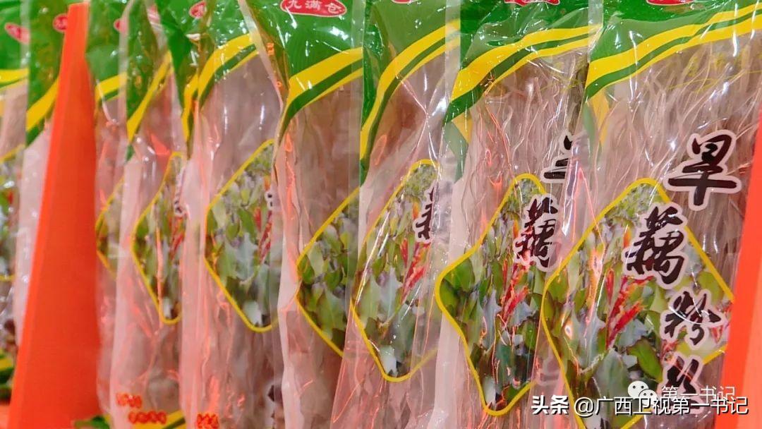 养殖莲藕需要什么技术_莲藕养殖技术视频全集_莲藕的养殖