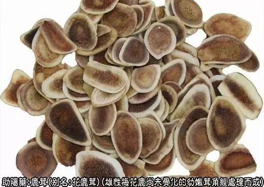 爷孙俩的中医故事第六册（17）鹿茸（鹿角、鹿角胶、鹿角霜）