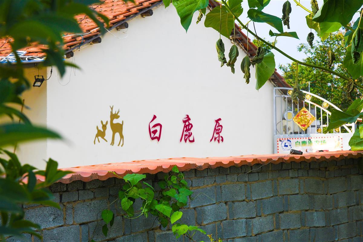 致富鹿的养殖_致富经养鹿八年五万变百万_致富经鹿