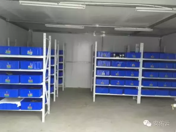 养殖大麦虫需要多少投资_养殖大麦虫致富_养殖大麦虫效益如何