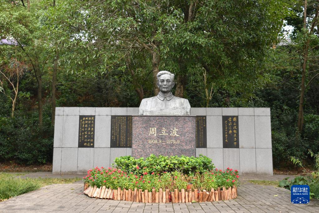 湖南益阳适合种植什么药材_益阳种植什么致富_益阳适合种植什么水果