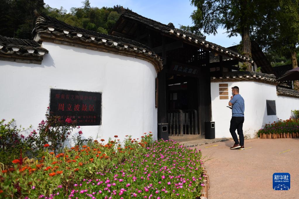 湖南益阳适合种植什么药材_益阳种植什么致富_益阳适合种植什么水果