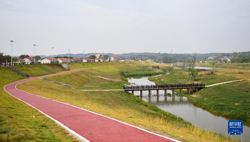 益阳适合种植什么水果_湖南益阳适合种植什么药材_益阳种植什么致富