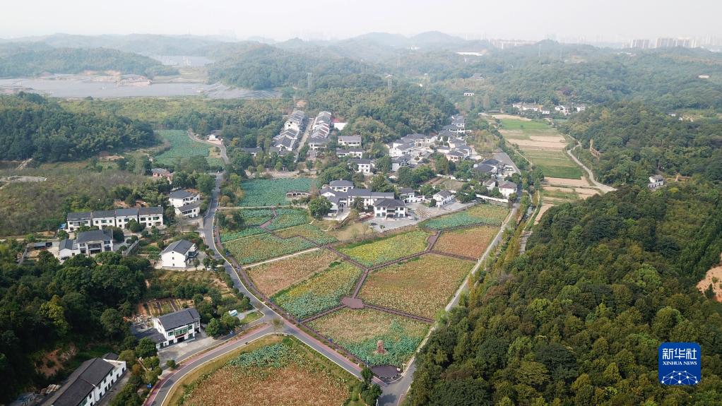 湖南益阳适合种植什么药材_益阳种植什么致富_益阳适合种植什么水果