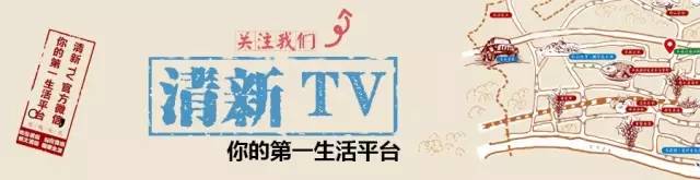清新乡村振兴力量 | 太和李银友，用茶叶打响脱贫致富之战
