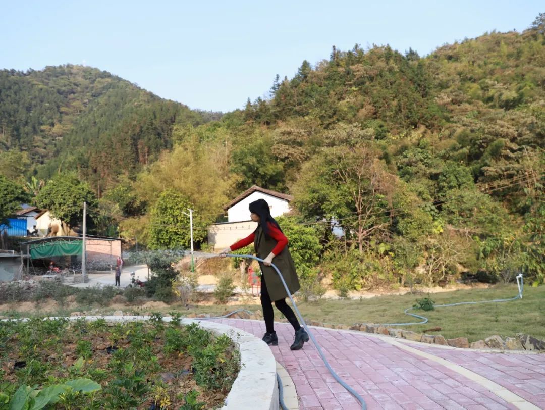 太和县养羊基地_太和县养殖政策新规_太和养殖致富项目