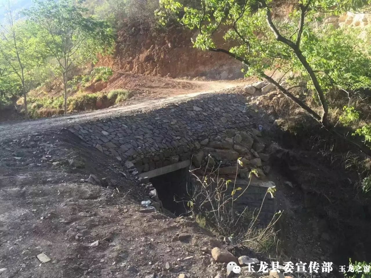太和养猪公司_太和养殖场_太和养殖致富项目
