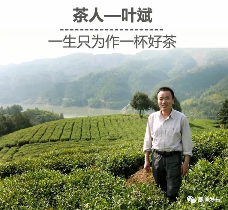 2017热门致富经_当下代理免费的致富热门_15年代理无本致富热门