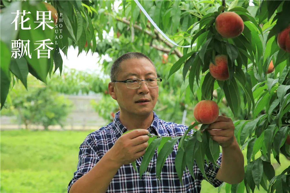 致富经 种花_种花致富经_农村种花致富能人