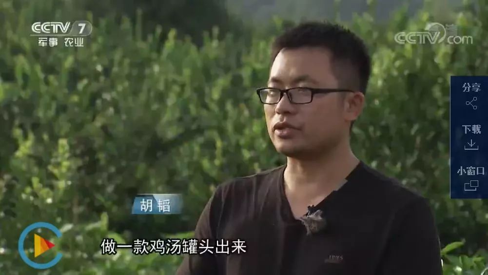 致富经蛇养殖视频_蛇养殖场视频_致富经养殖毒蛇视频