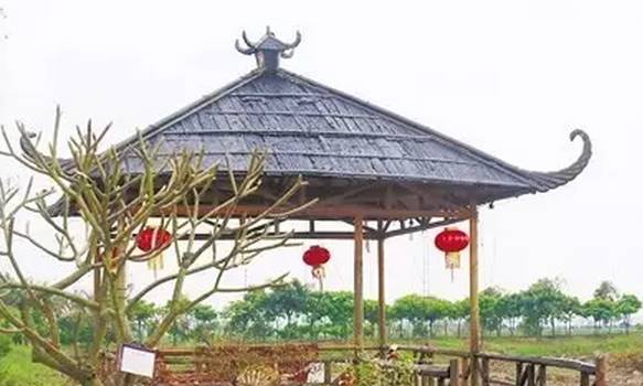 视频致富养殖蛇在线观看_致富经养殖毒蛇视频_致富经蛇养殖视频
