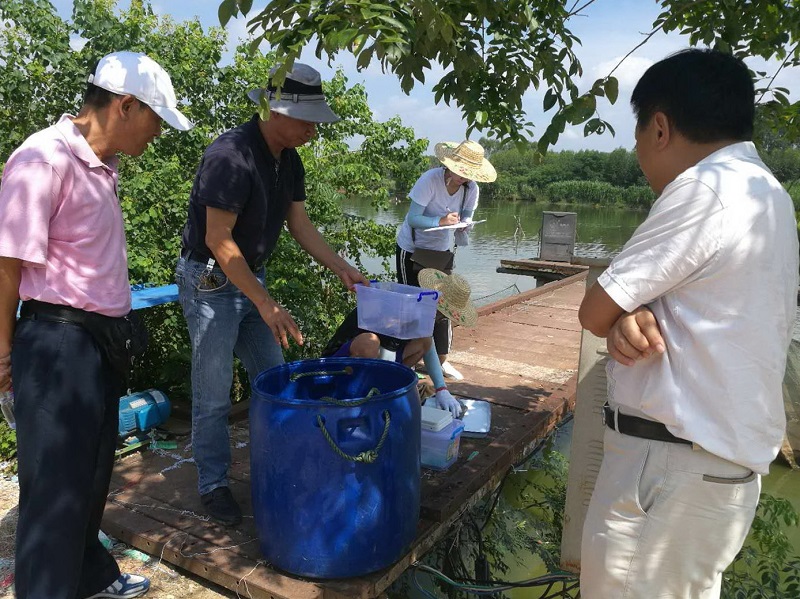 罗非鱼养殖微生态调控技术顺利通过专家阶段性测产