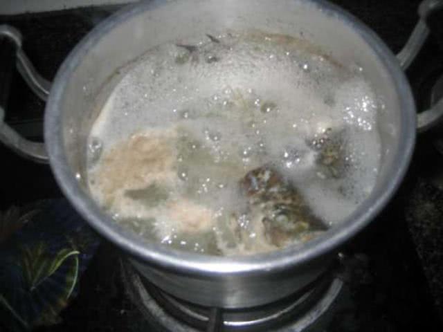 淡水养殖罗非鱼技术要求_淡水罗非鱼的养殖技术_淡水养殖罗非鱼技术视频