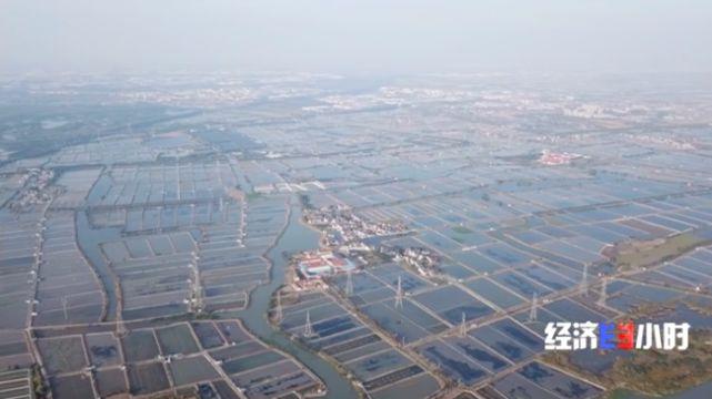 养殖大闸蟹最新技术视频_养殖大闸蟹最新技术要求_最新大闸蟹养殖技术