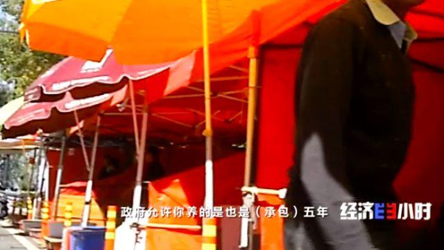 养殖大闸蟹最新技术视频_养殖大闸蟹最新技术要求_最新大闸蟹养殖技术