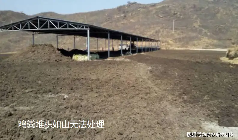 养鸡场粪污4种低成本处理技术，有多少都可以快速处理，消除臭味解决环保问题