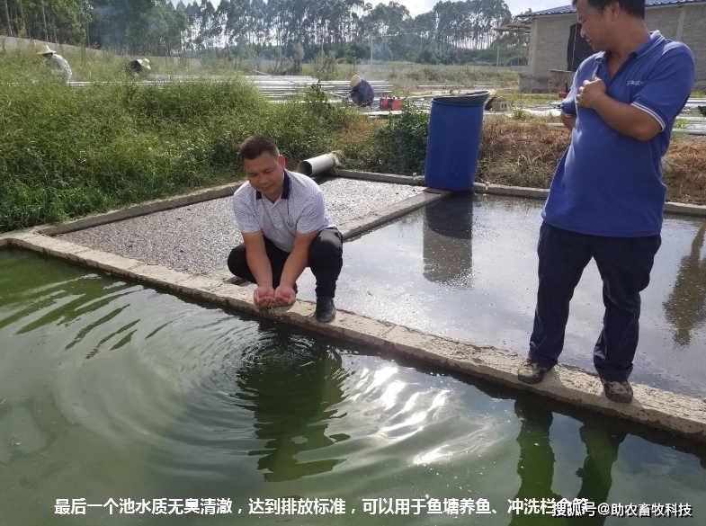 养殖鸡的技术方案_养殖鸡方案技术要点_养殖鸡方案技术规范