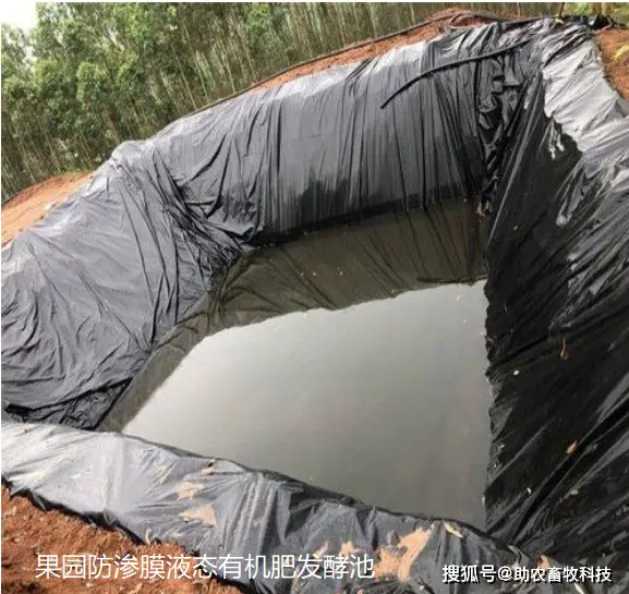 养殖鸡的技术方案_养殖鸡方案技术规范_养殖鸡方案技术要点