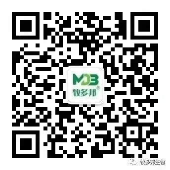 致富经养牛的女人_致富经养牛害人吗_致富经养牛人成功视频