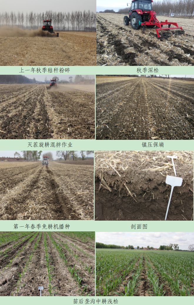致富秸秆种植机器图片_秸秆种植致富机器_秸秆机械